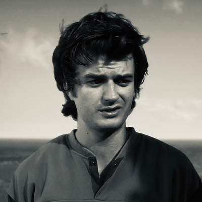 Steve Harrington 