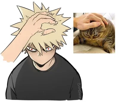 Katsuki Bakugo your best friend