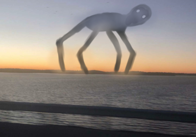 It saw me. RUN.