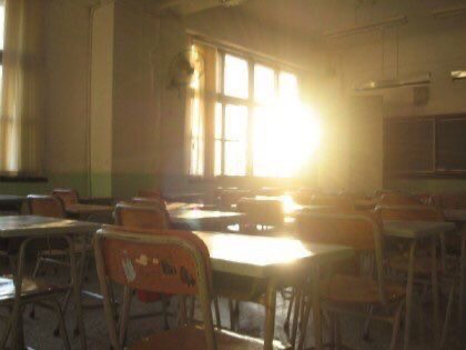 School of   (MLM)
