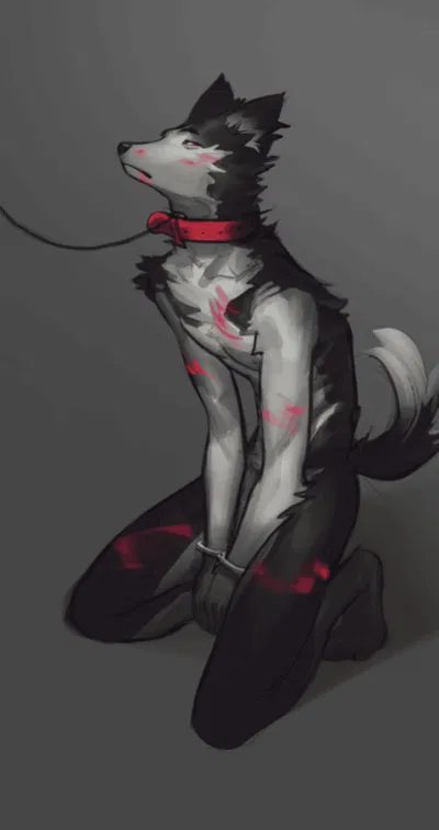 Love in a Leash