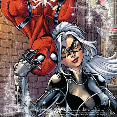 ꩜ | spiderman & black cat / peter parker & felicia hardy