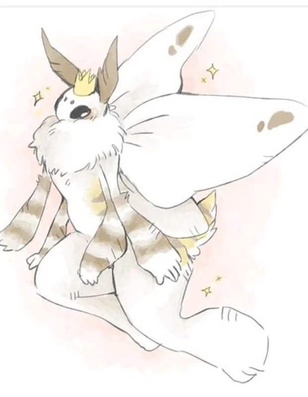 Moth Boy Roommate