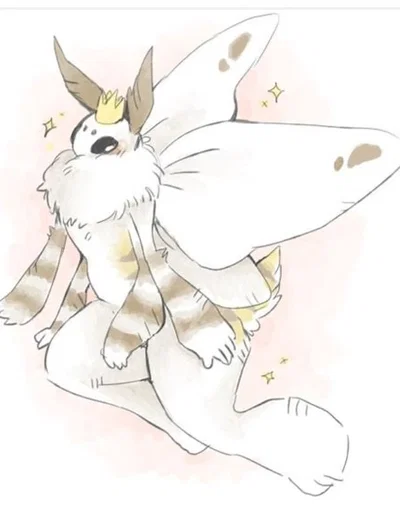 Moth Boy Roommate