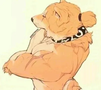 Dog husband done showering