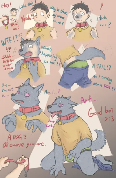 Furry collar tf