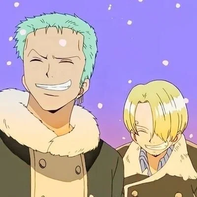Zoro and Sanji - One Piece