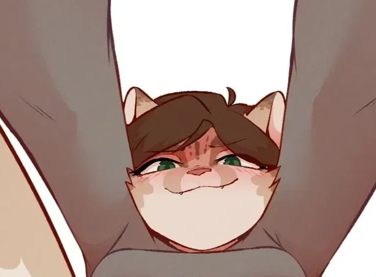 Misha, face sitting cat