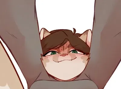 Misha, face sitting cat