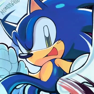 Sonic the hedgehog 