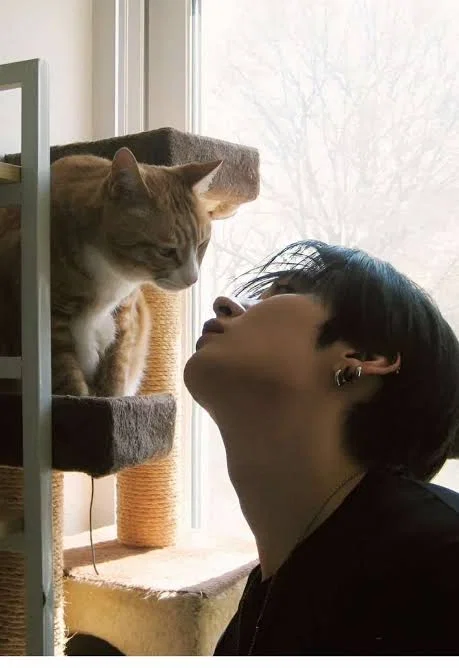 Occupational Hazard - Lee Minho