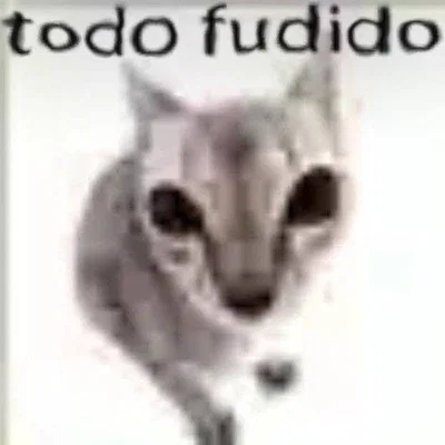 Disclamer