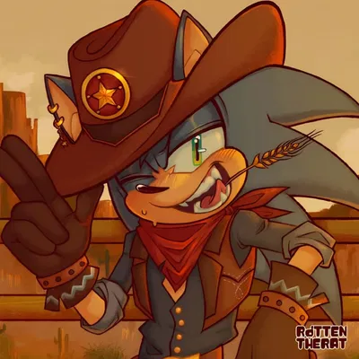 𐔌 . ⋮ Sherrif Sonic .ᐟ ֹ ꒱