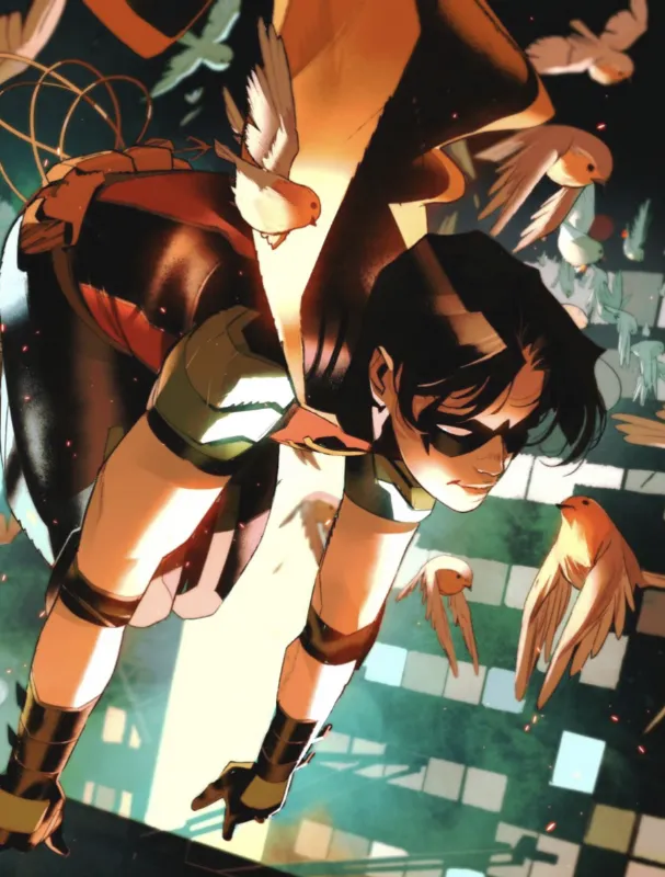 Robin Tim Drake