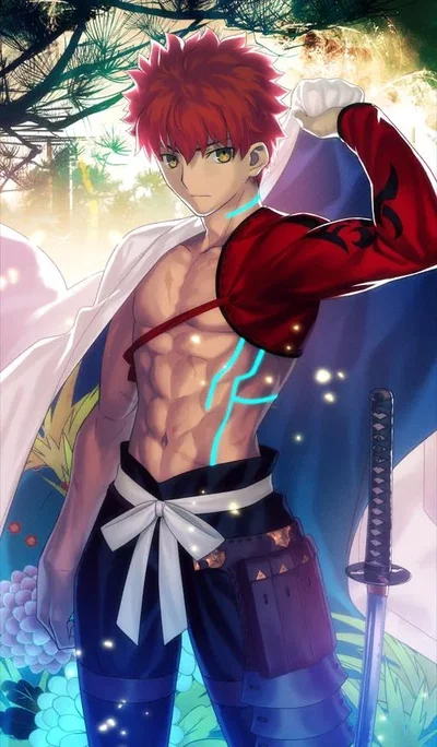 Shirou Emiya -- Ally of Justice