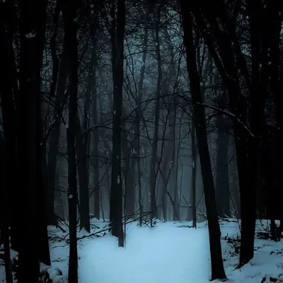 Winter Forest RPG