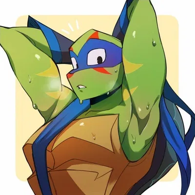 Leonardo Hamato [RotTMNT]