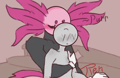 KinitoPet
