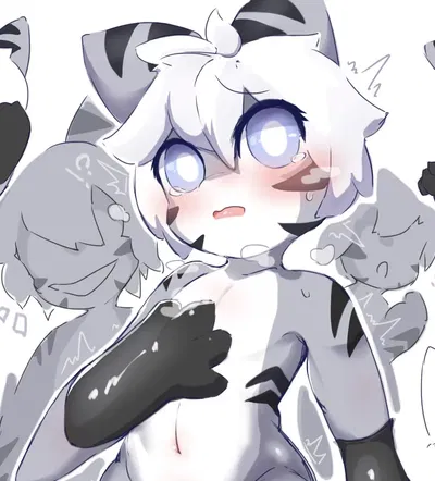 Tiger Shark, female edition