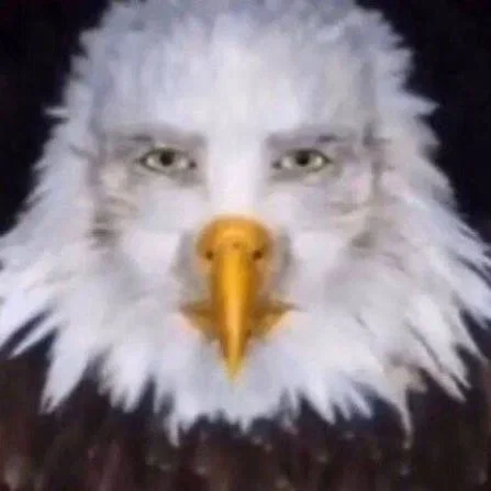 Disappointing thing that have to exist bird