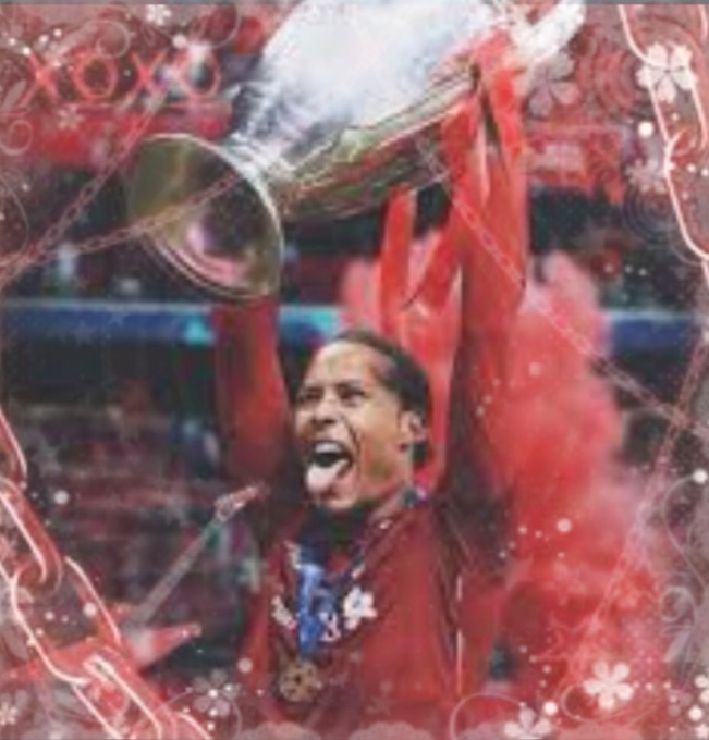 ⋆。゚✶°✧⋆ VIRGIL VAN DIJK  ̊+‧➴