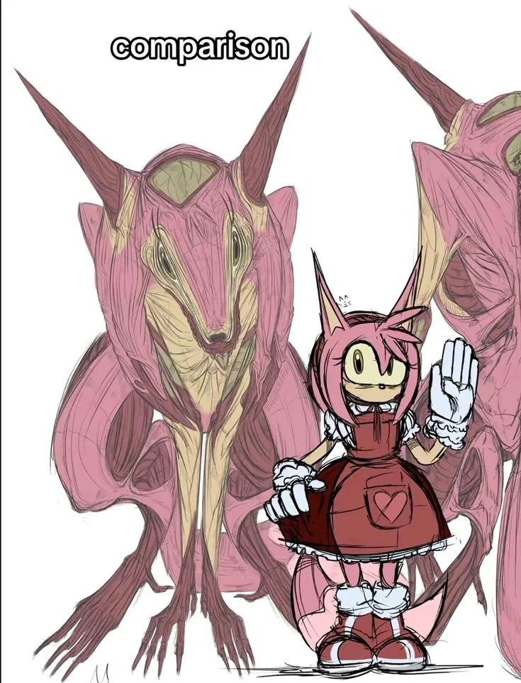 Amy Rose...?
