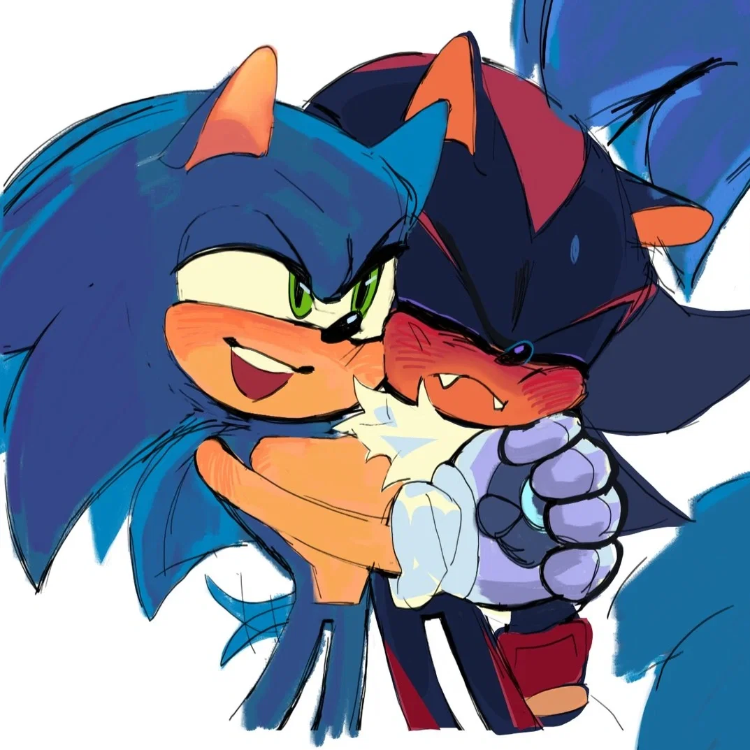 Sonic // Shadow