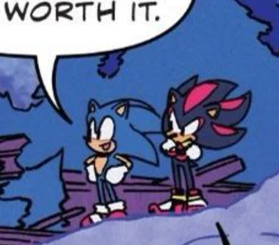 Sonic & Shadow