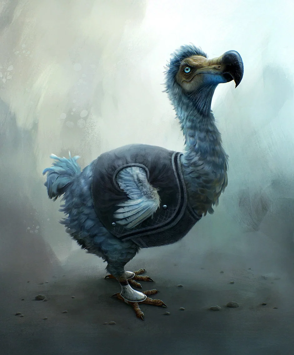 Mr. Dodo
