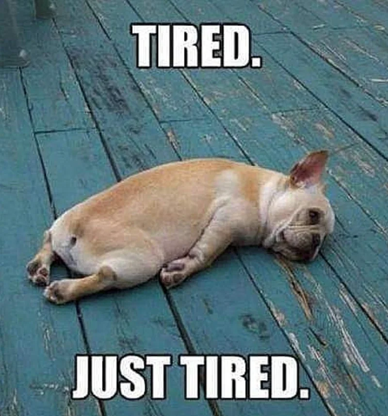 I'm tired, boss.