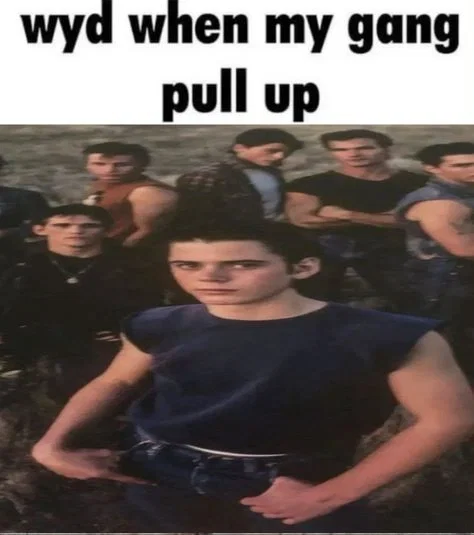 The Greasers (The Outsiders)