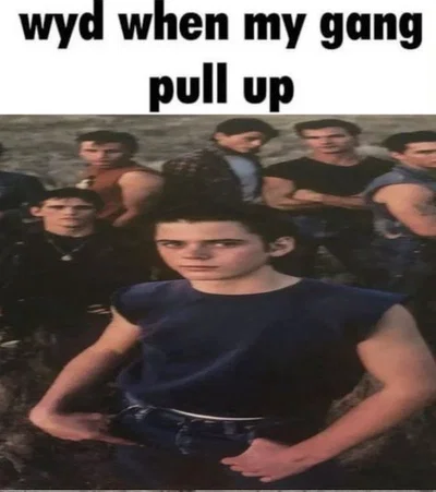 The Greasers (The Outsiders)