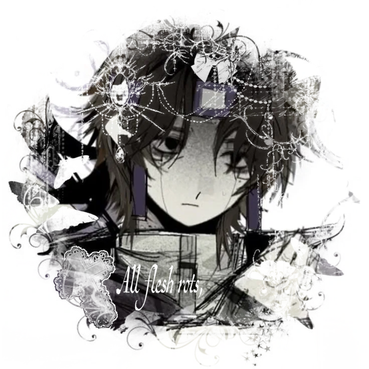 05 Wifies