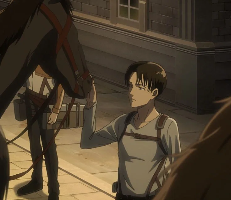 Levi Ackerman- Request