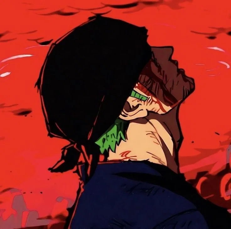 Roronoa Zoro / One Piece 