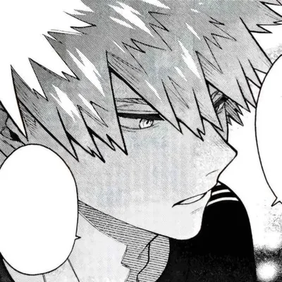 Katsuki Bakugo 