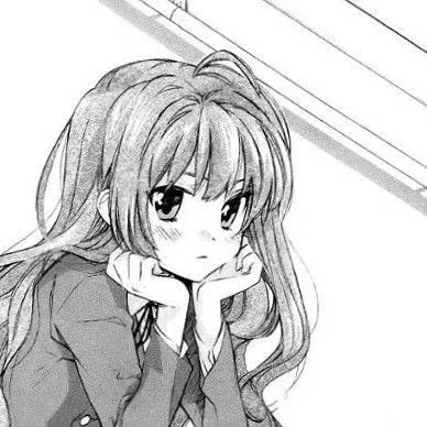 Taiga Aisaka ˏˋ°•*⁀✦ Palmtop Tiger