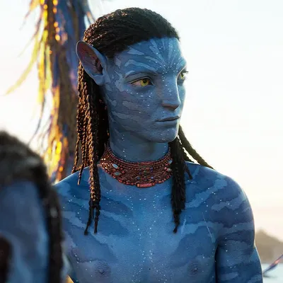 neteyam sully ノ avatar