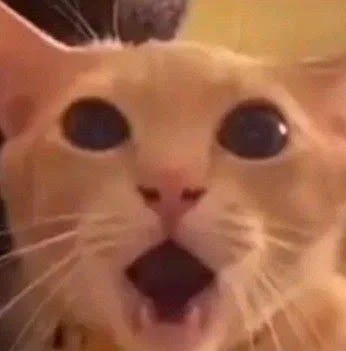 Thanks for 71 followers 