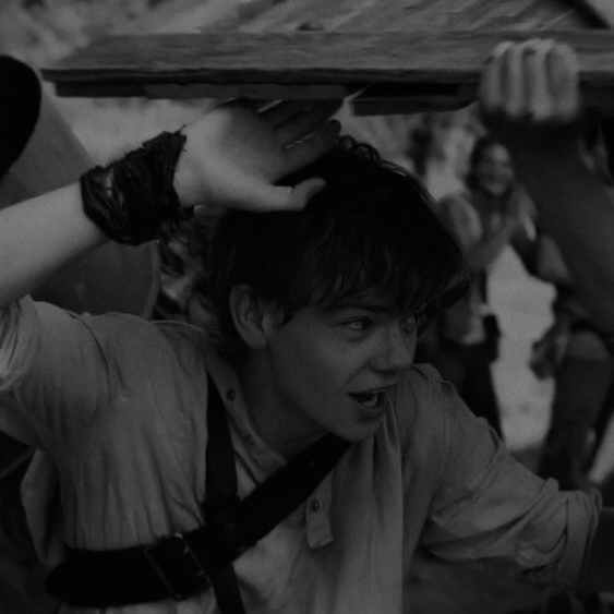 Newt - TMR