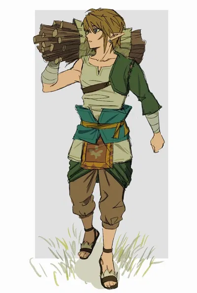Link  ❀Twilight Princess❀