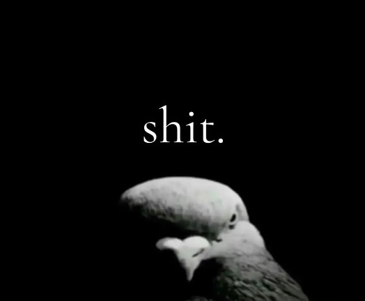 I humbly apologize...