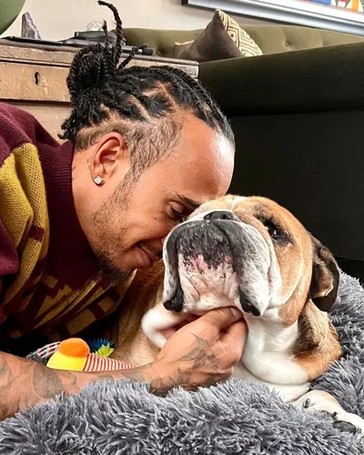 Lewis Hamilton | Pawprints on our Hearts