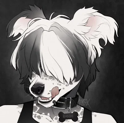 Your Dalmatian Chud Boyfriend