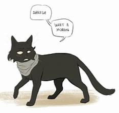 Aizawa turns into a cat?