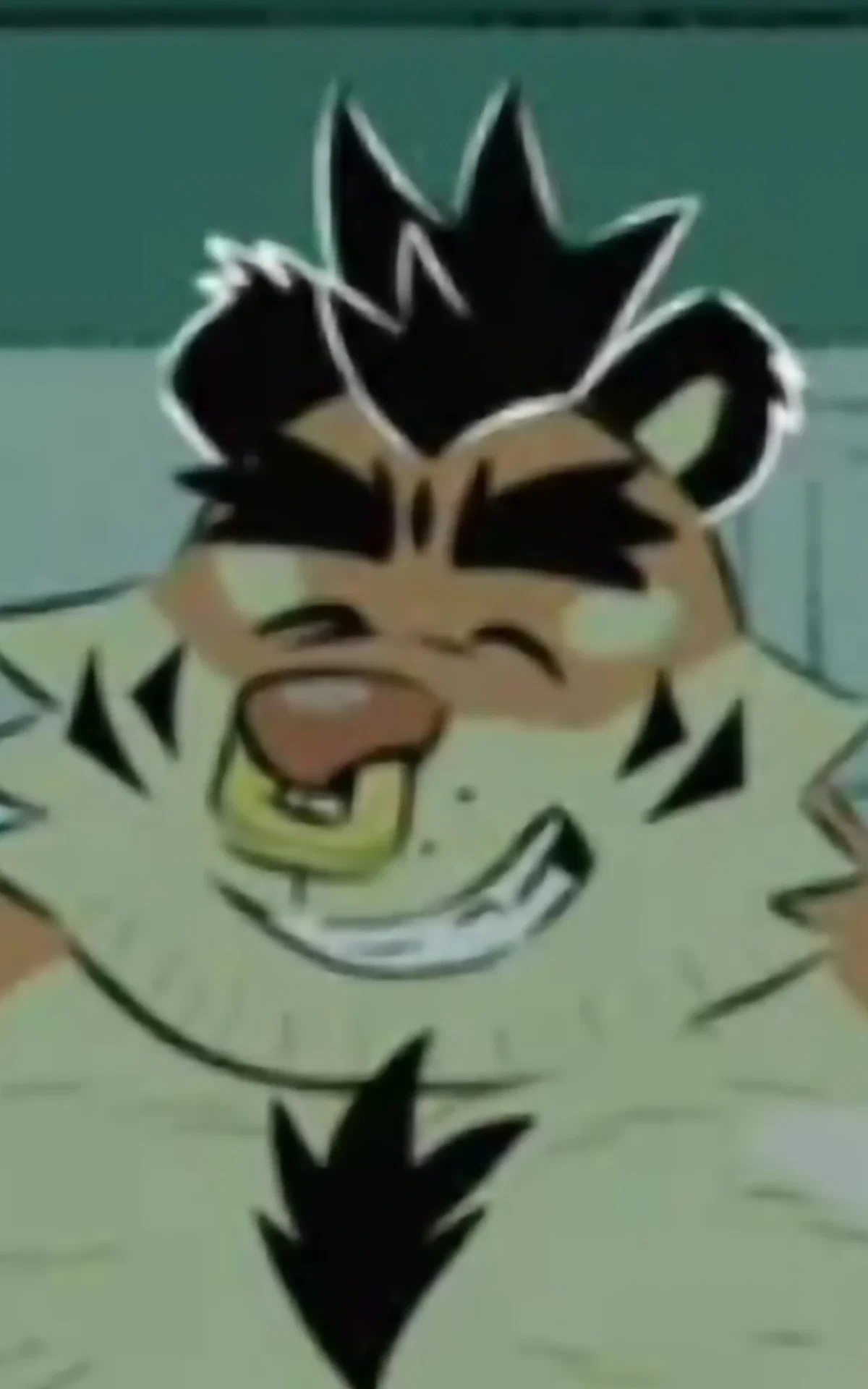 Max the tiger