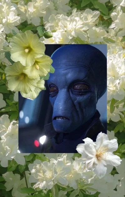 🌷Shriv Suurgav🌷|Star Wars