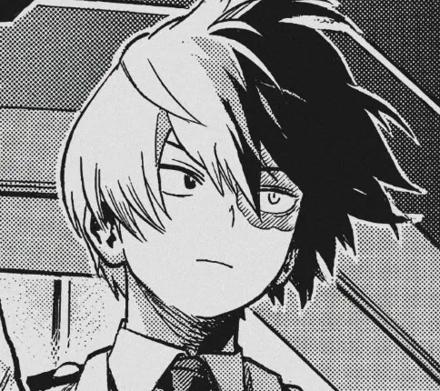 Shoto Todoroki