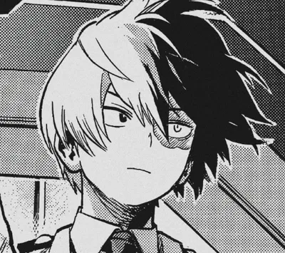 Shoto Todoroki