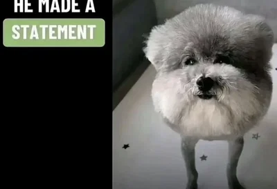 i genuinely need ideas